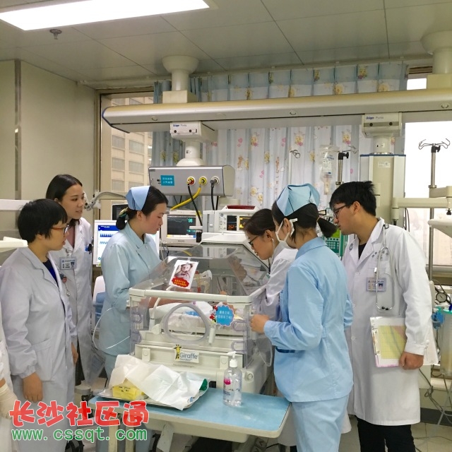 代孕基因