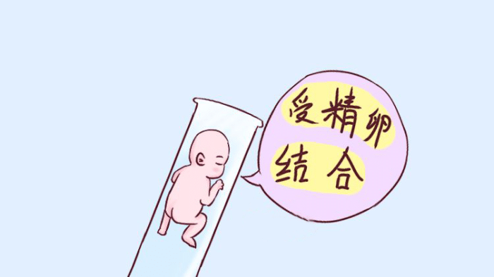 代孕合同