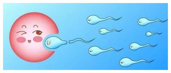 代孕dna