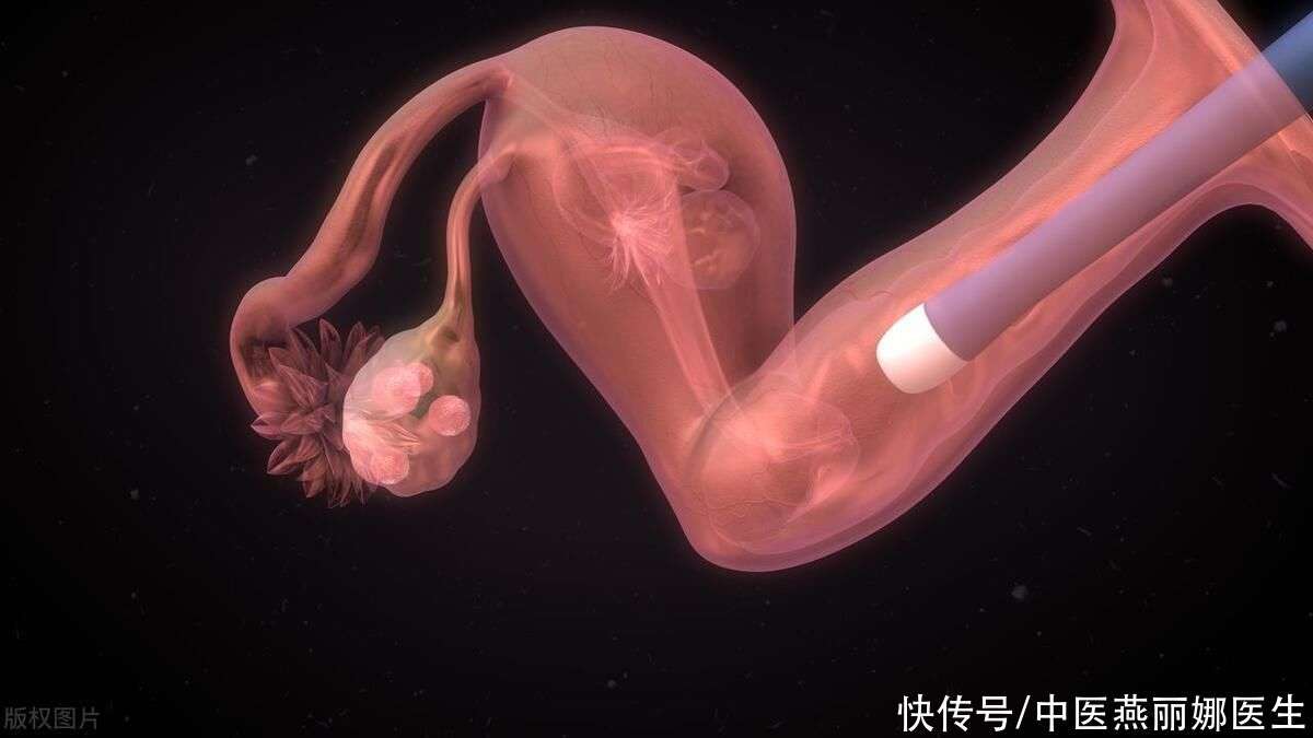 香港代孕