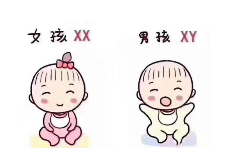 香港代孕