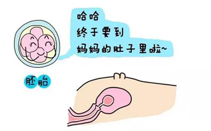 代孕 北京