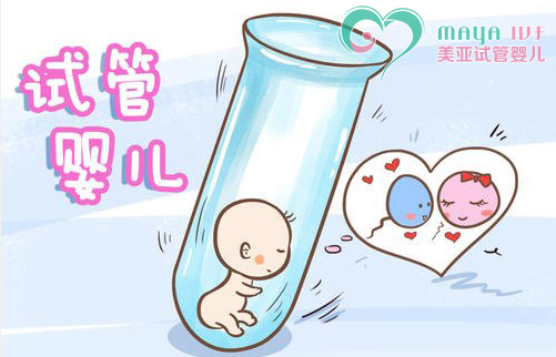 代孕不成功