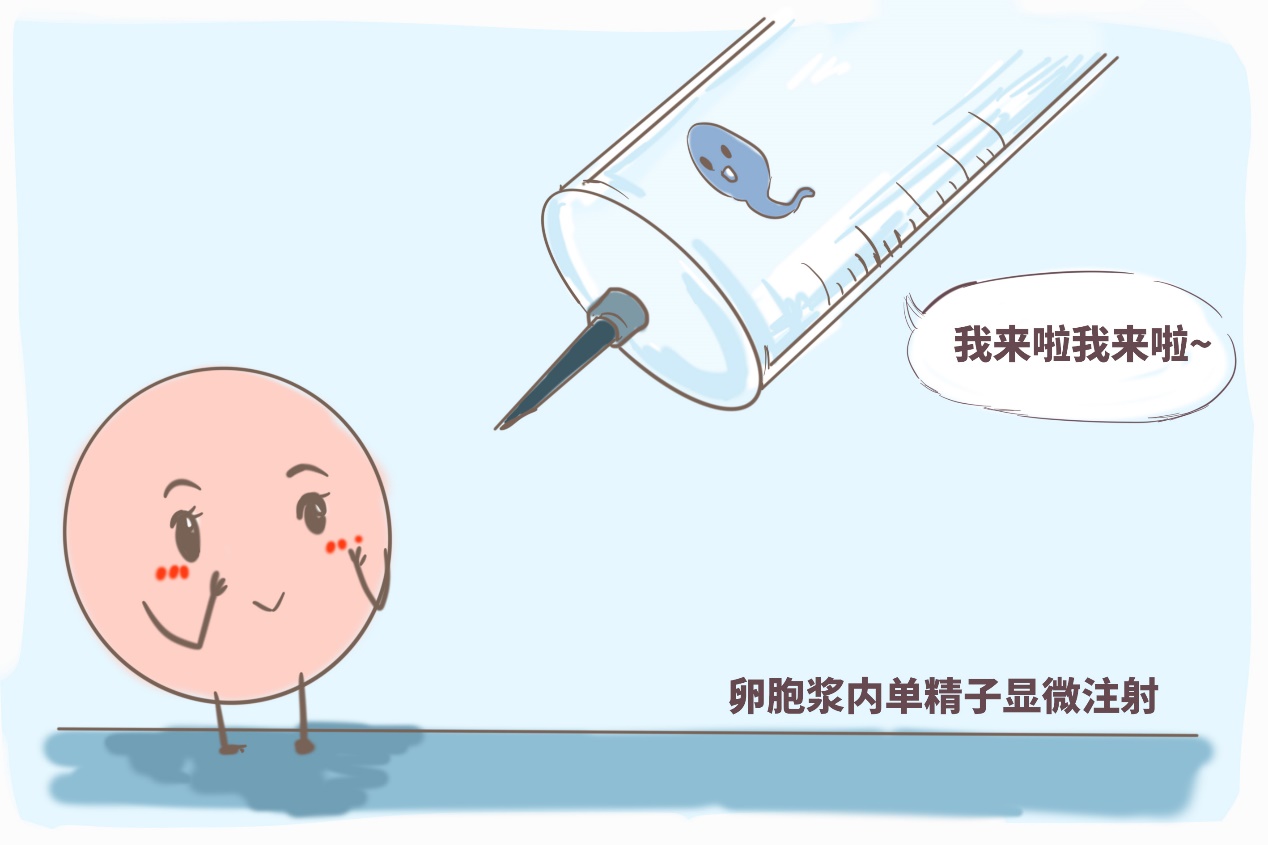 代孕中国