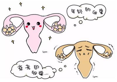 美国人求代孕