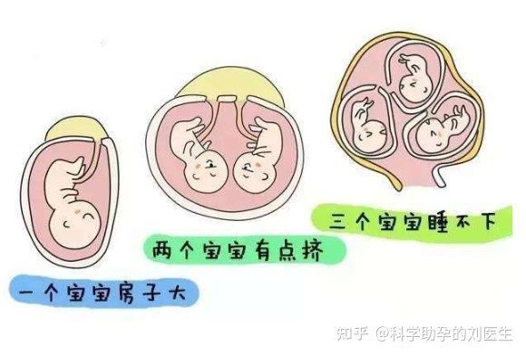 代孕合法化