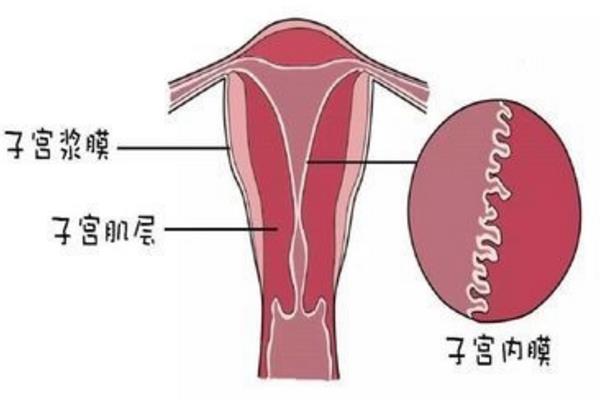 代孕