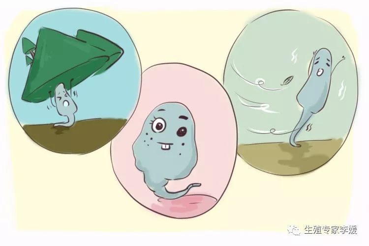 代孕商业化